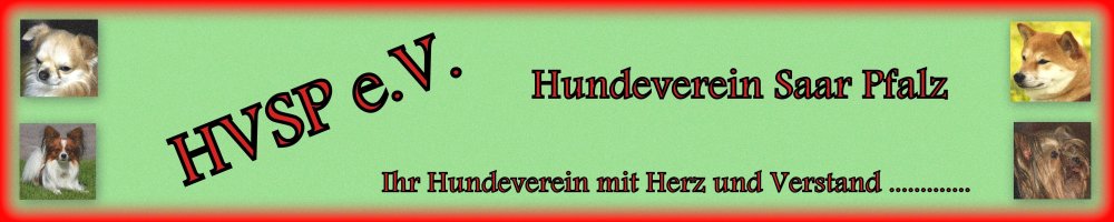 https://www.hvsp-ev.de/