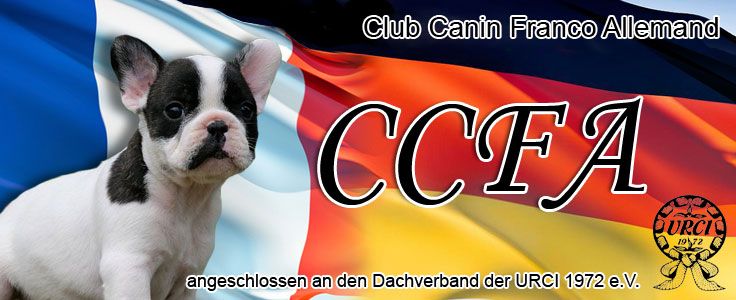 https://www.ccfa-online.de/